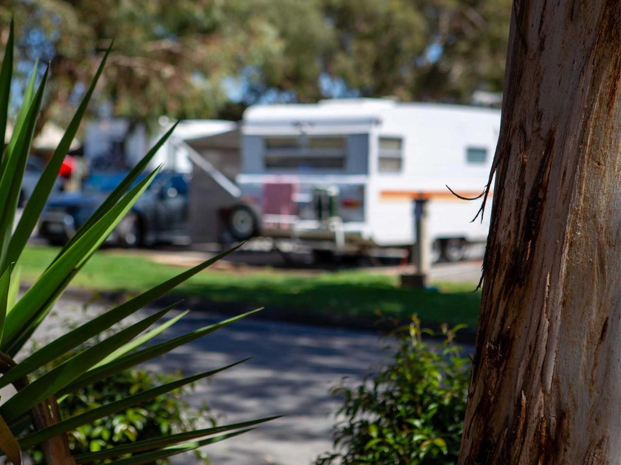 Echo Holiday Parks - Windsor Gardens Adelaïde Extérieur photo